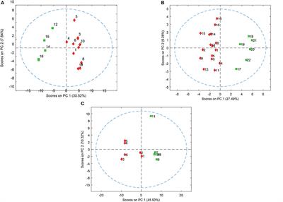 Blood-Based Lipidomics Approach to Evaluate Biomarkers Associated With Response to Olanzapine, Risperidone, and <mark class="highlighted">Quetiapine</mark> Treatment in Schizophrenia Patients